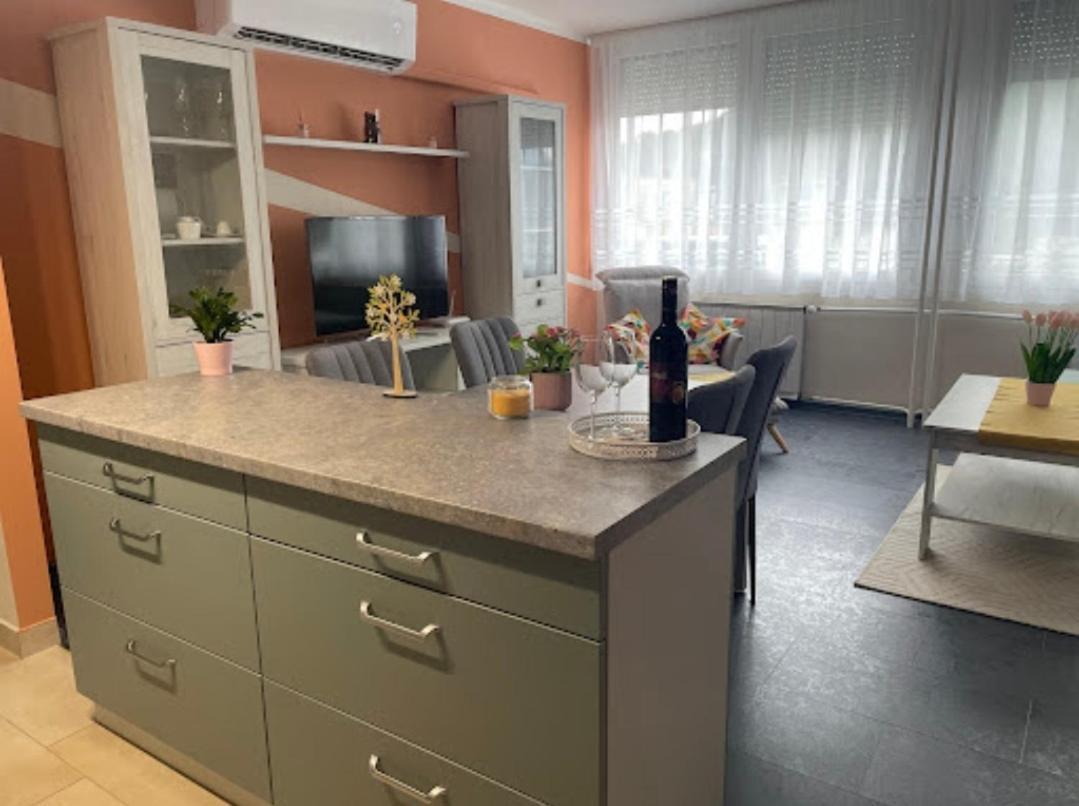 شقة Krisztina Apartman Salgótarján المظهر الخارجي الصورة